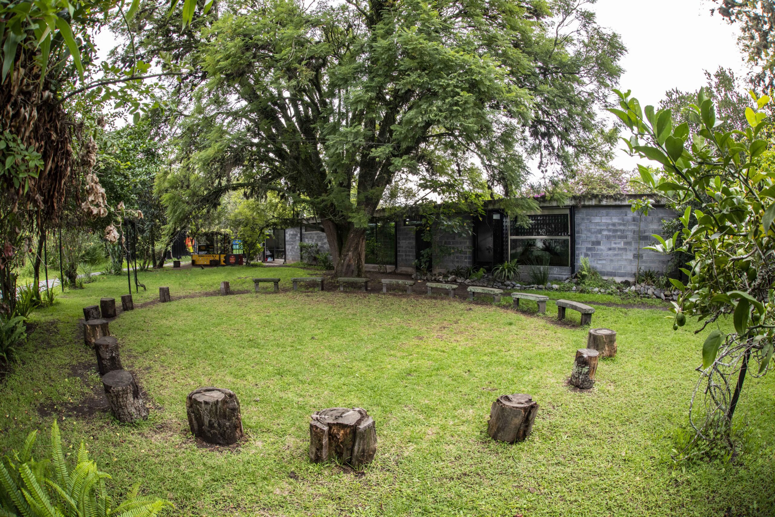 Patio central_1 copia